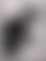 Jesús Gallardo - Soy realista porque estoy muy vinculado a mi tierra