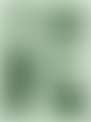 Maestro Rodolfo Gonzalez Villareal - La obra de un artista debe ser sincera