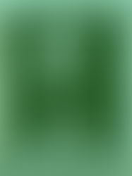 Dr. Jesús Rodríguez Gaona - Un brindis vale más que cien batallas