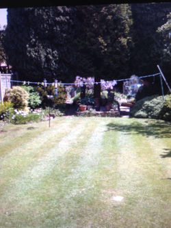 garden2
