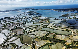 Marais-salants-du-Mes-Guerande-Saint-Molf-2-scaled.jpg