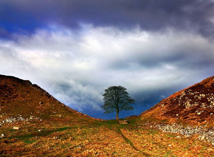 Sycamore-Gap-Hadrians-Wall-Northumberland-England1-705x517