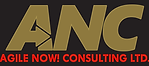 Agile NOW! Consulting Ltd. Logo