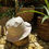 Thumbnail: SUN=SEN Hat