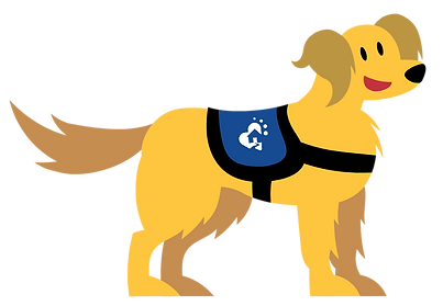 Hero Rig image.png