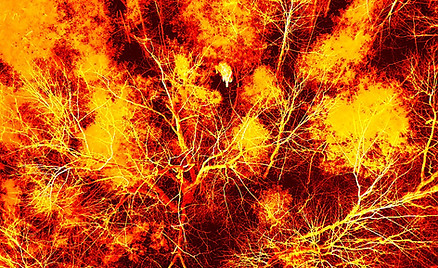 DJI_20260308142904_0038_T.JPG