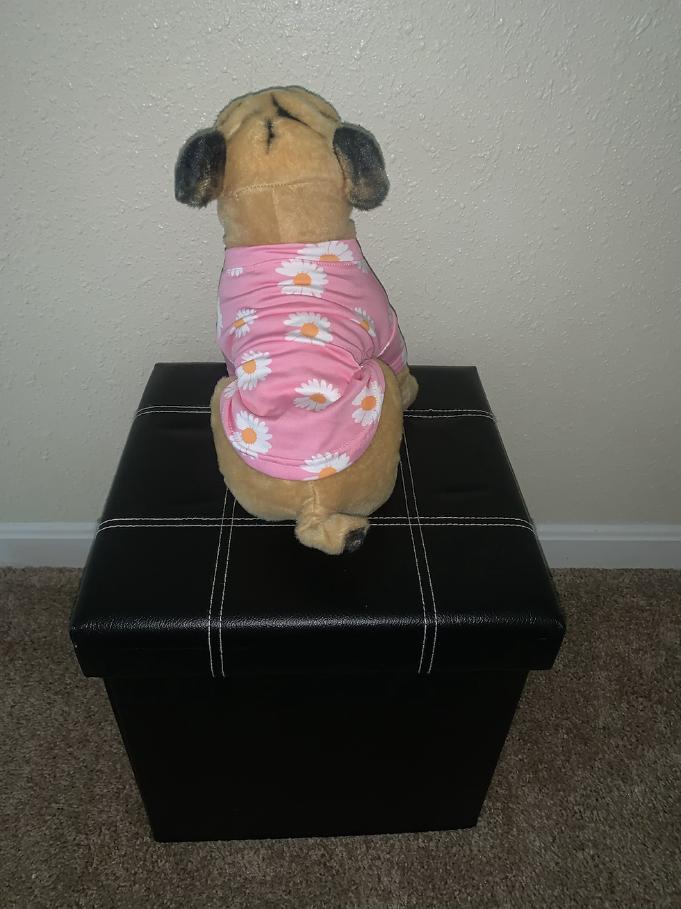 Thumbnail: Bark Ń Bloom Shirt 