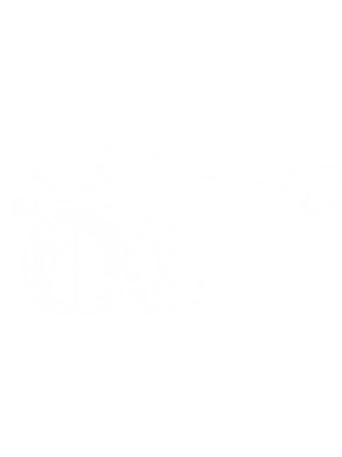 WHITE ICON FOR BLACK BG copy@300x