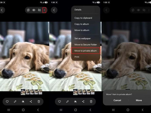 one ui 8.5 gizli fotoğraf albümü