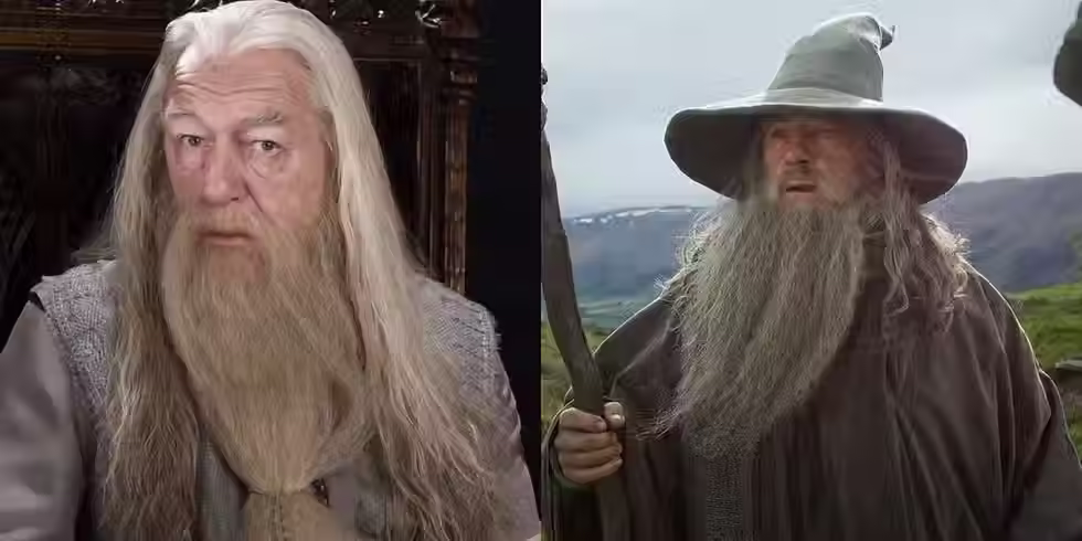 albus dumbledore - gandalf img1