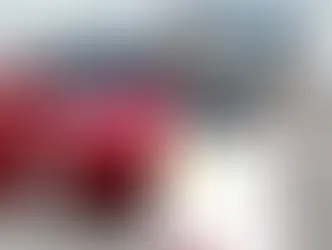 tesla ilanına ceza