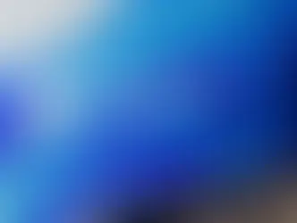 windows 11