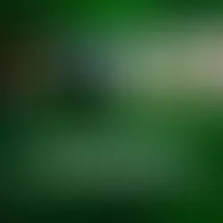 xbox ücretsiz oyunlar