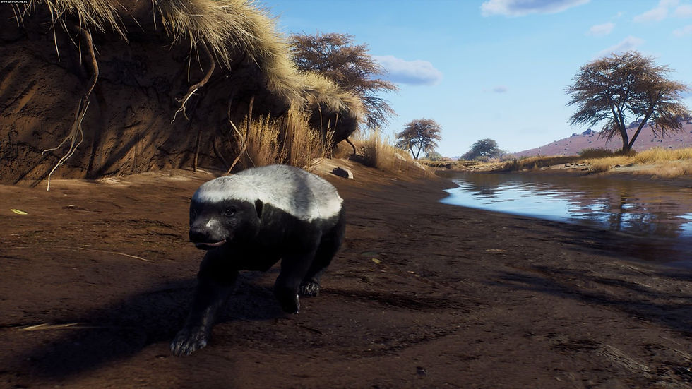 way of the hunter img5