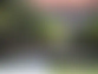 chatgpt cinayetle suçlanıyor