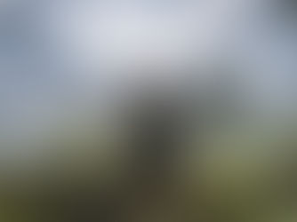 tom raider catalyst duyuruldu