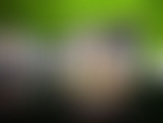 nvidia n1x