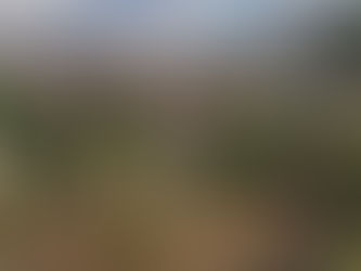 anno 117 çökme sorunu