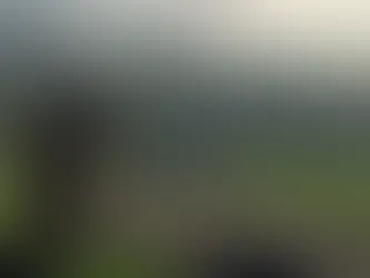 intelden crimson deserte tepki