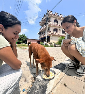 Pawsitive Feeds.jpeg