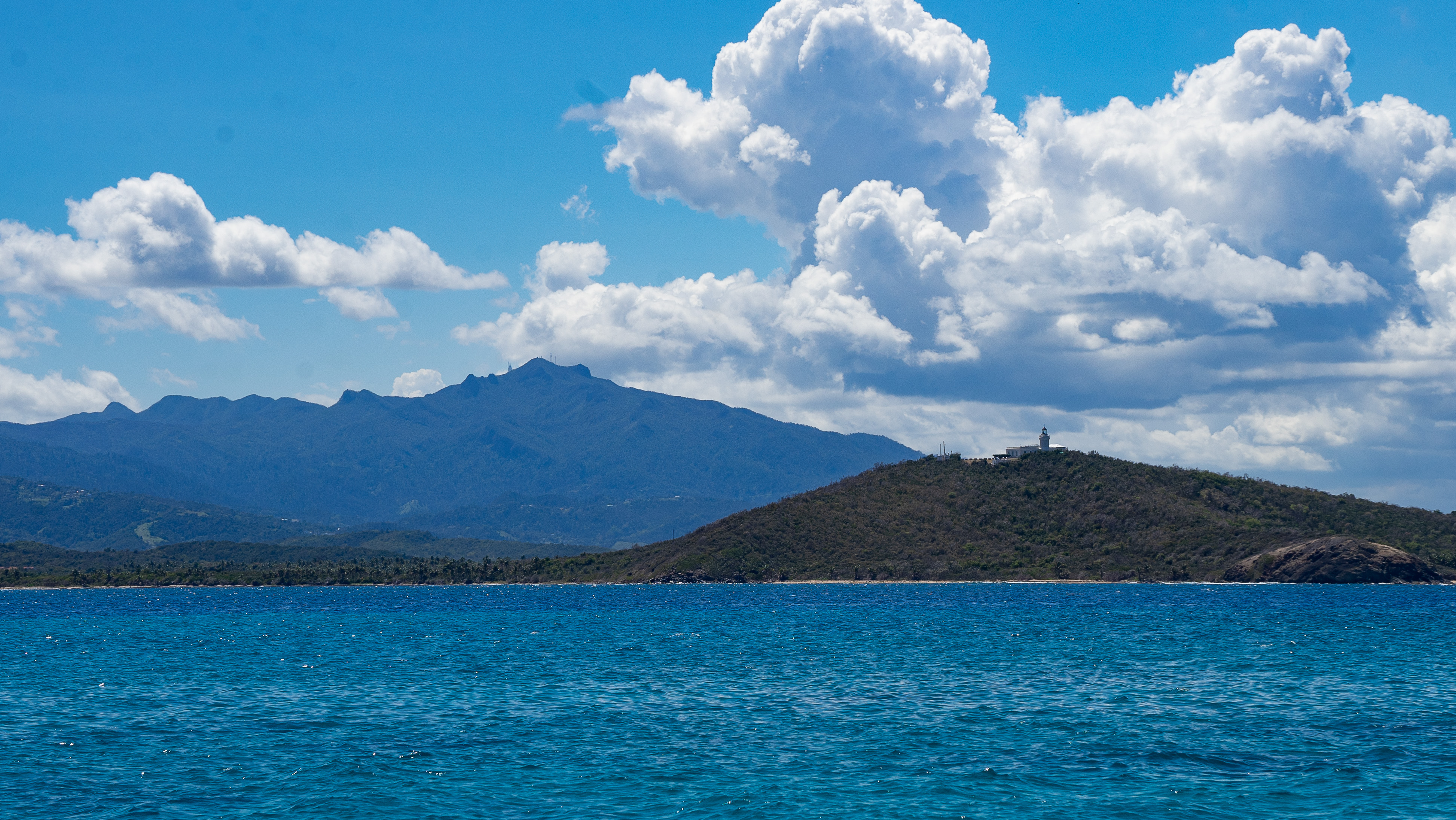 Rain Forest from the Sea