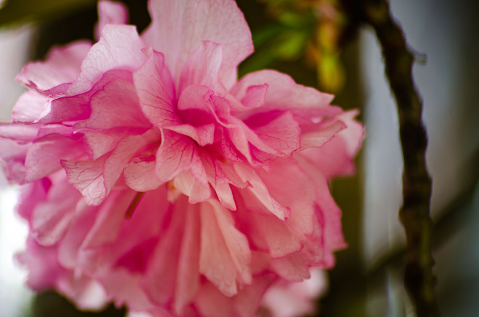 iso1 (13 of 16)