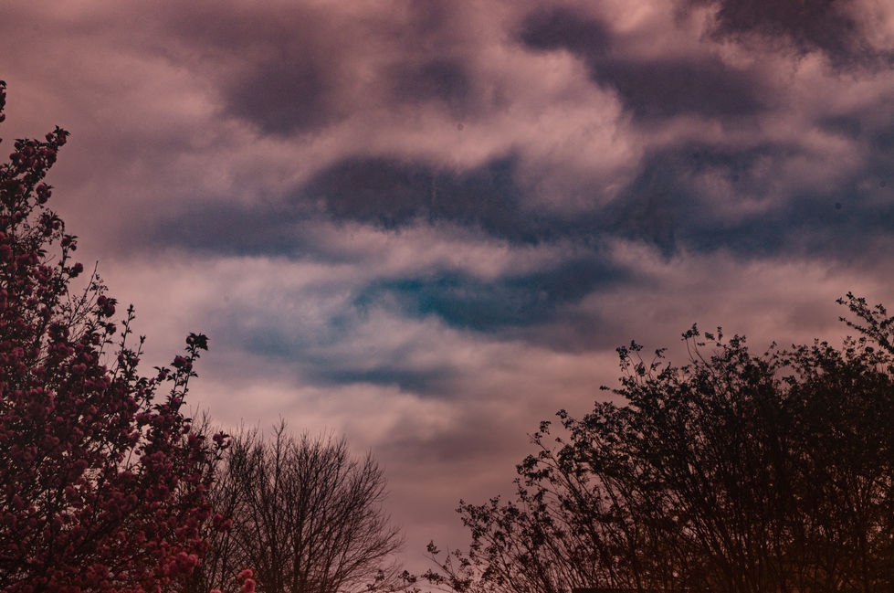 iso1 (3 of 16)