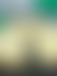 עוגת גבינה יפנית