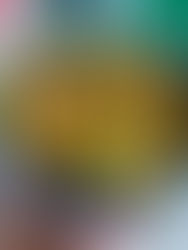 כרובית צלויה באיולי קארי