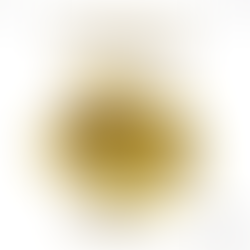 America's Realest Mixtape 2.0 With DJ T-Money