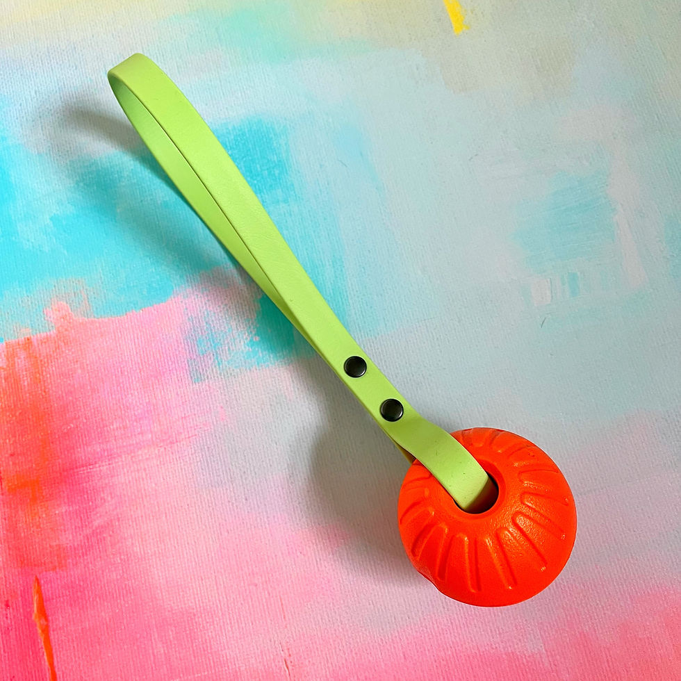 Thumbnail: Floaty BioThane Tugs (2)