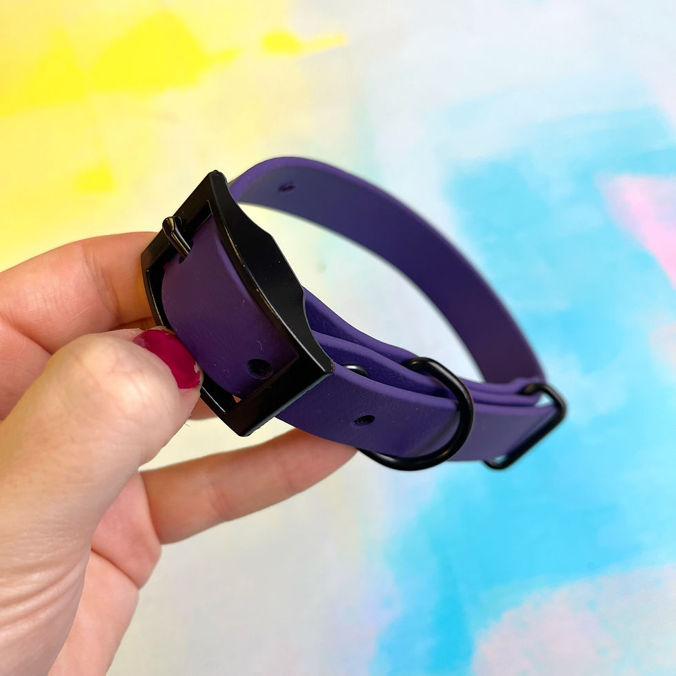 Thumbnail: Small BioThane Buckle Collars - Black Hardware