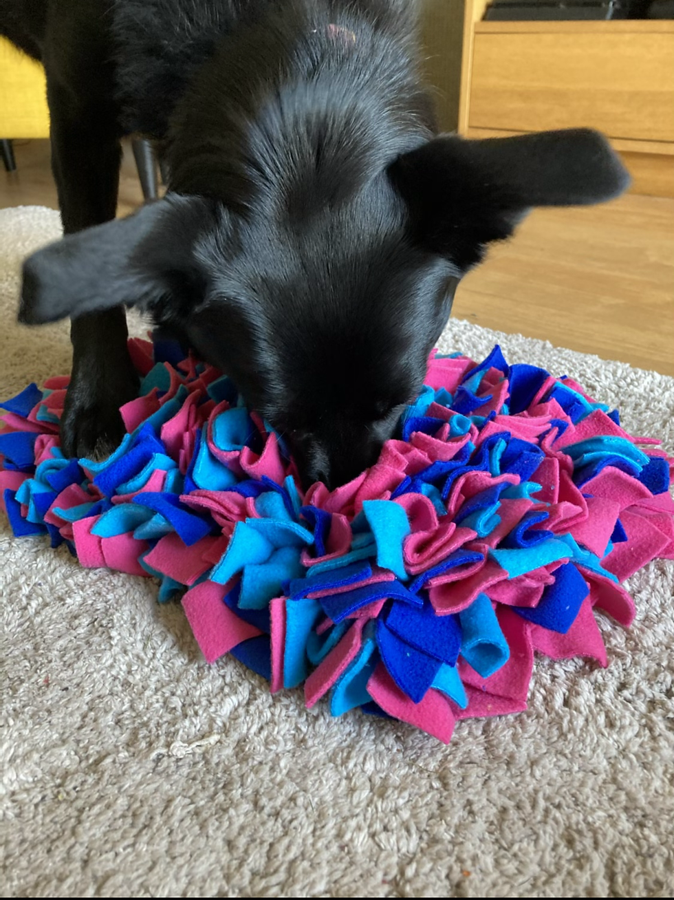 Thumbnail: Snuffle Mat