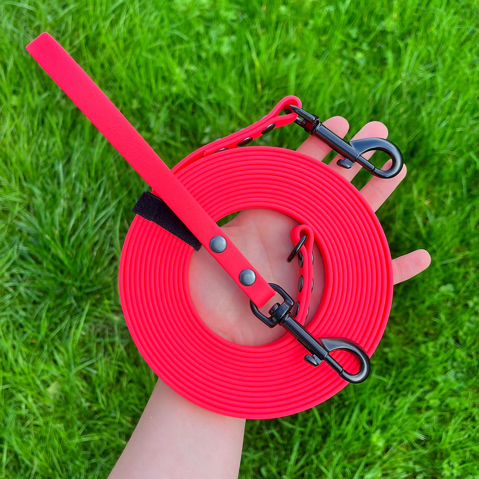 Thumbnail: 5m Waterproof Longline with Detachable Handle