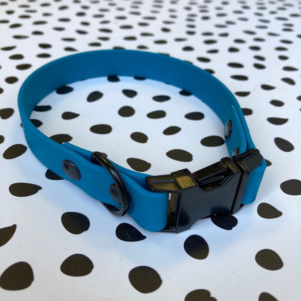 Thumbnail: Quick Release BioThane Collar