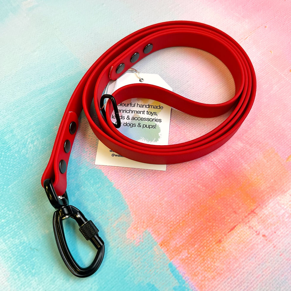 Thumbnail: 4ft BioThane Standard Leads - Screw Lock Carabiners