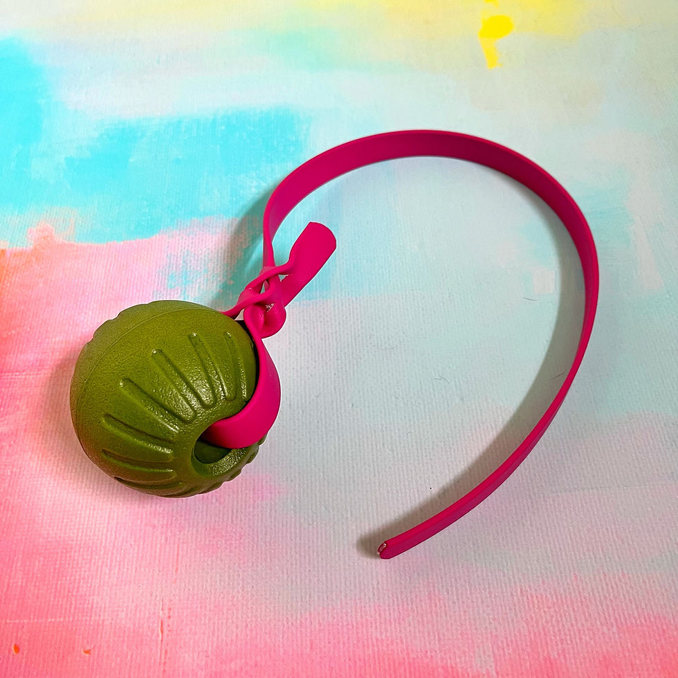 Thumbnail: Braided Floaty BioThane Tugs (2)