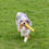Thumbnail: Buoy Tug