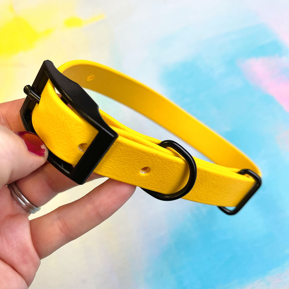 Thumbnail: Medium BioThane Buckle Collars - Black Hardware