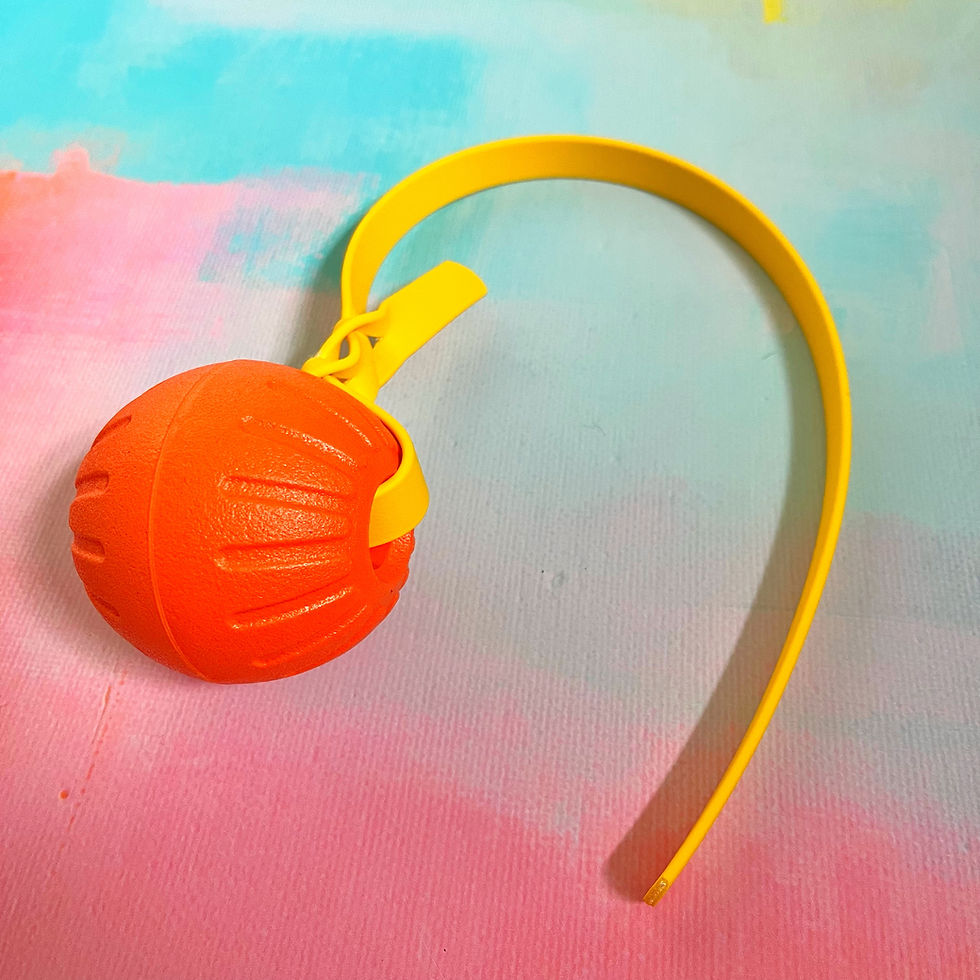 Thumbnail: Braided Floaty BioThane Tugs (2)