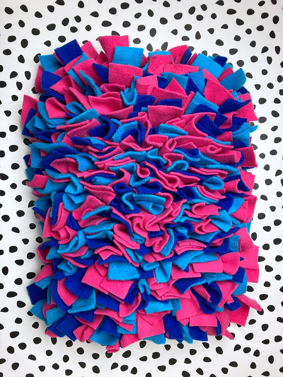 Thumbnail: Snuffle Mat