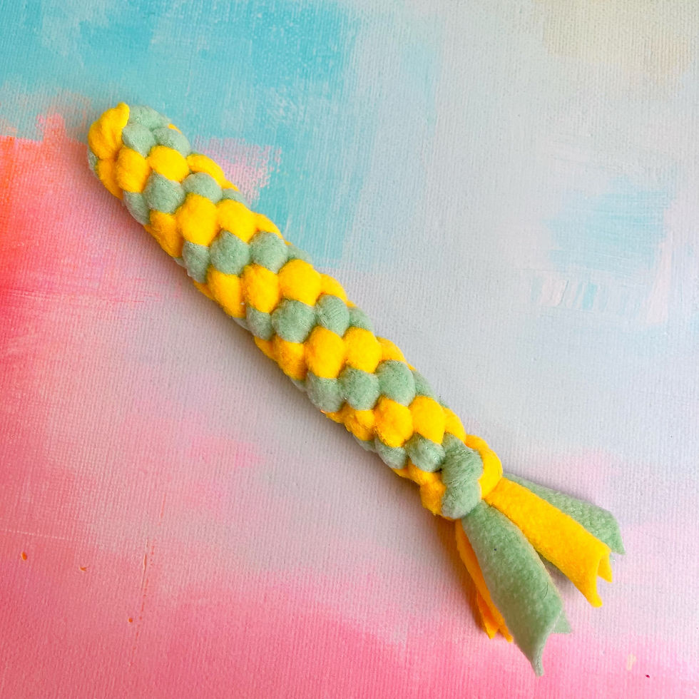 Tuggle (Yellow & Mint)