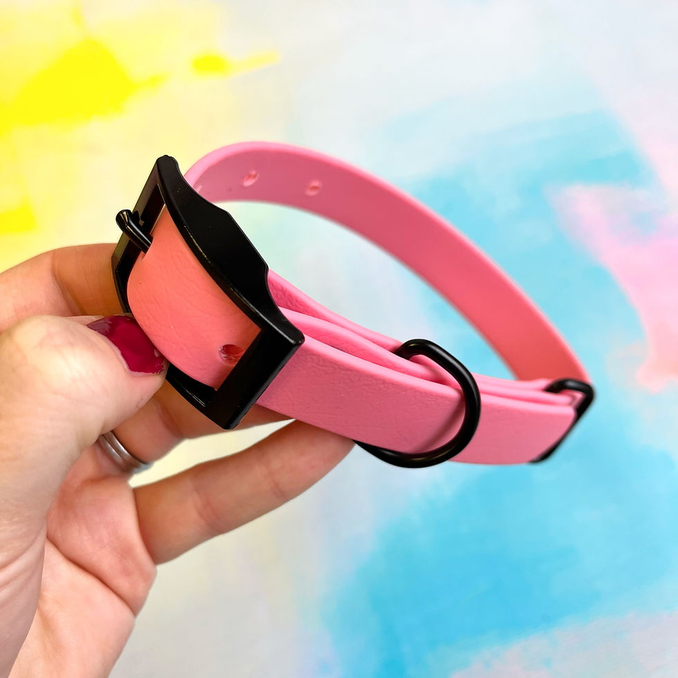 Thumbnail: Small BioThane Buckle Collars - Black Hardware