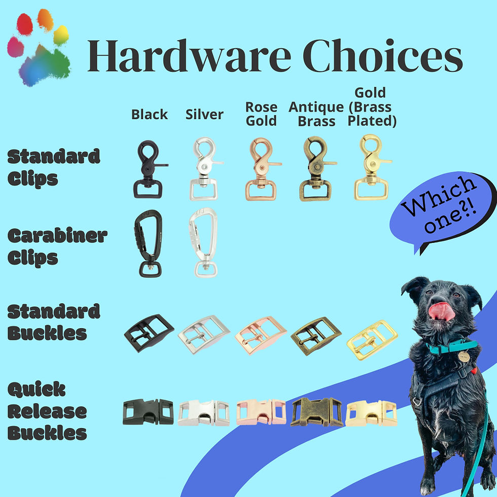 Thumbnail: BioThane Standard Lead