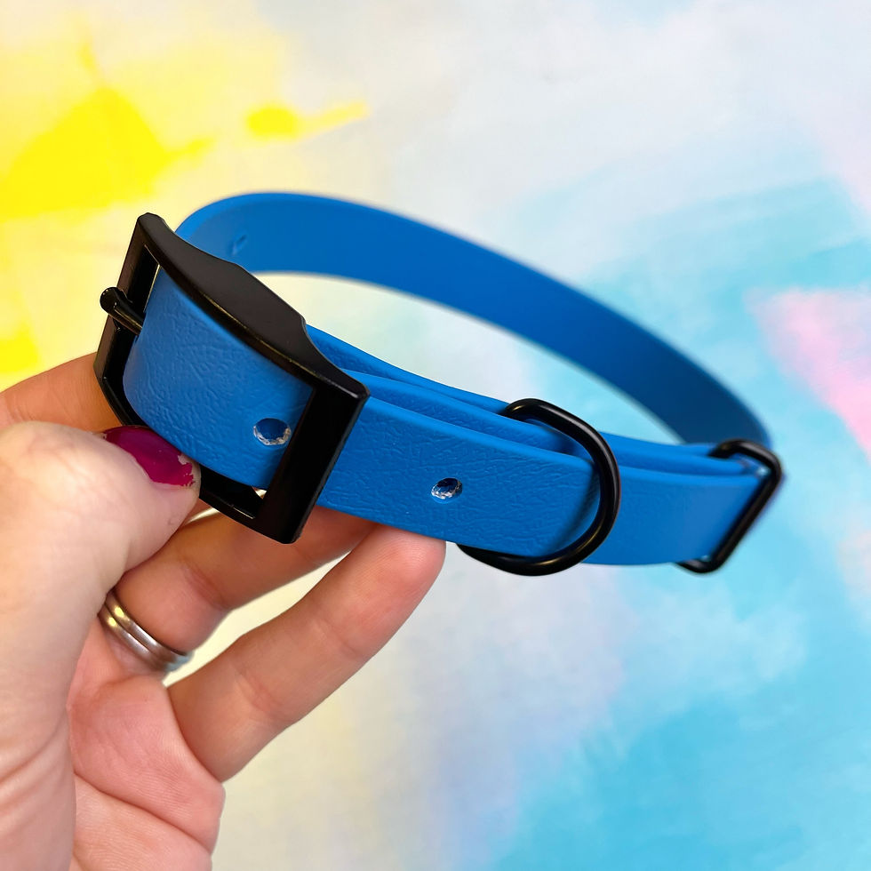 Thumbnail: Medium BioThane Buckle Collars - Black Hardware