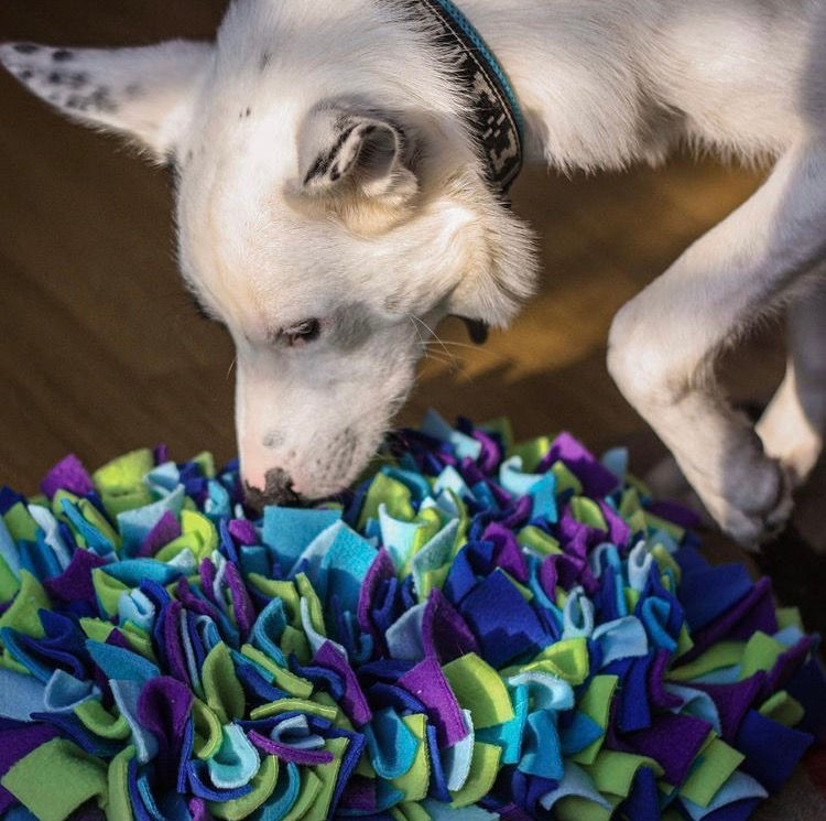Thumbnail: Snuffle Mat