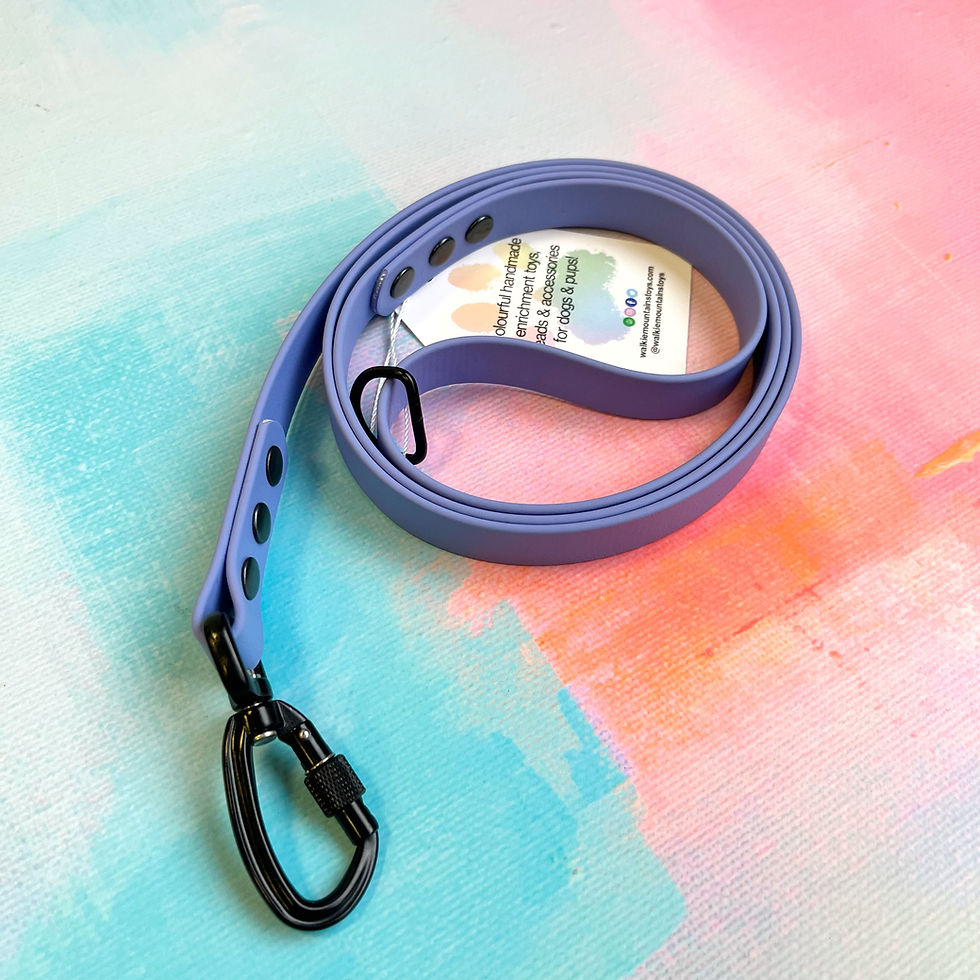 Thumbnail: 4ft BioThane Standard Leads - Screw Lock Carabiners