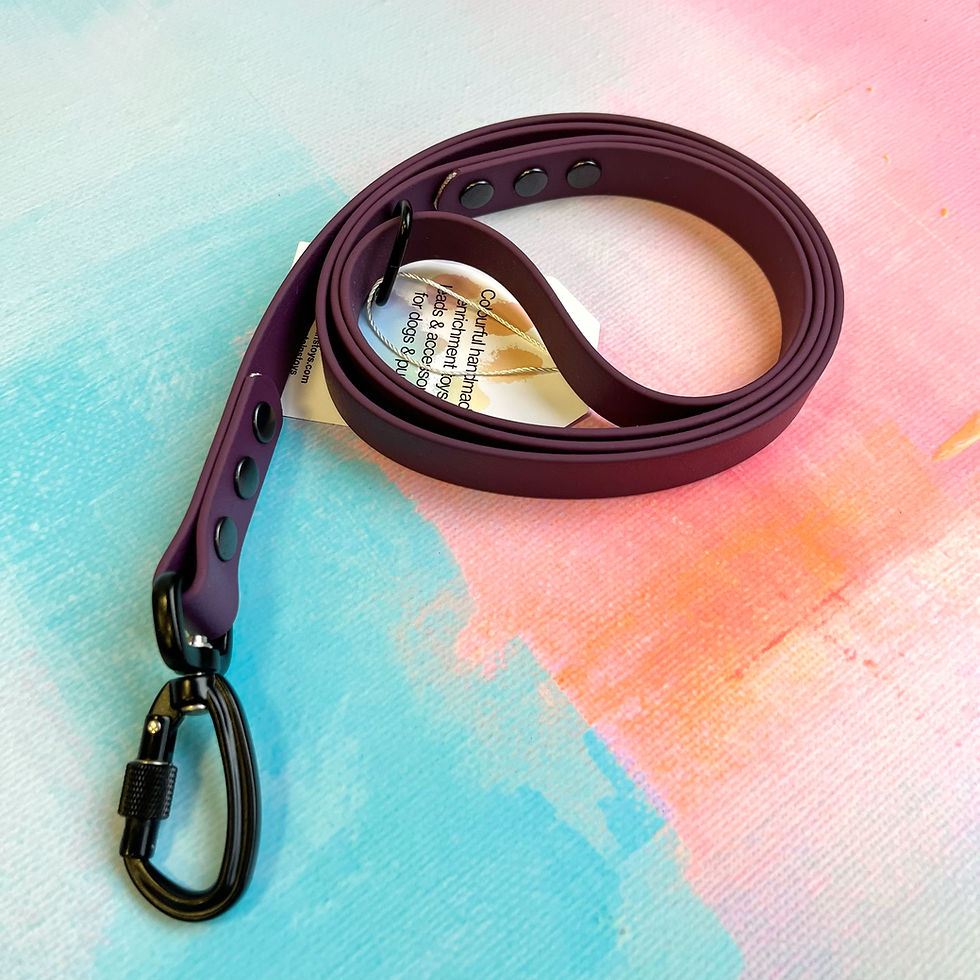 Thumbnail: 4ft BioThane Standard Leads - Screw Lock Carabiners