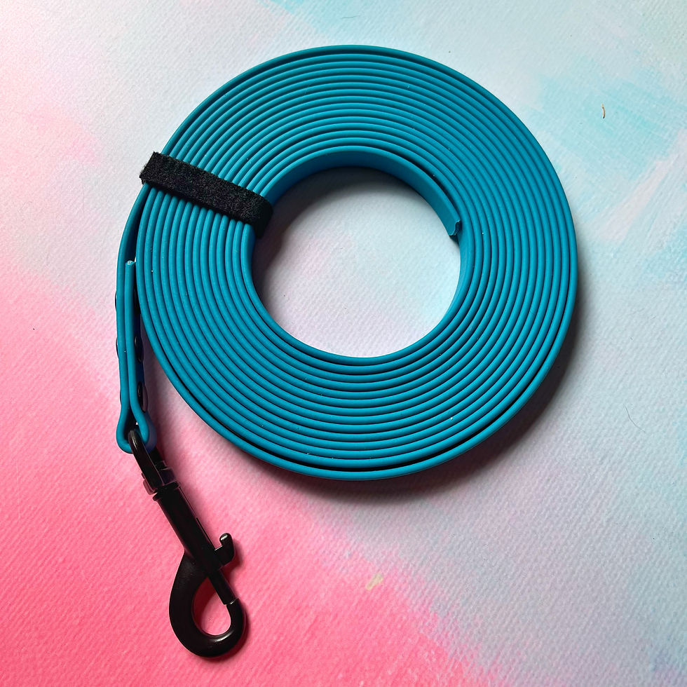 Thumbnail: 5m BioThane Longlines (12mm width)
