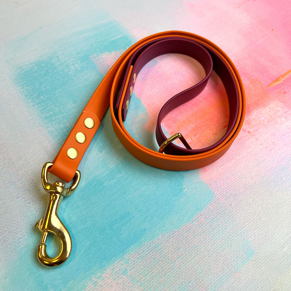 Thumbnail: 4ft BioThane Standard Leads - Brass Hardware